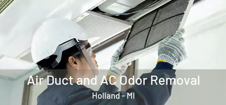 Air Duct and AC Odor Removal Holland - MI