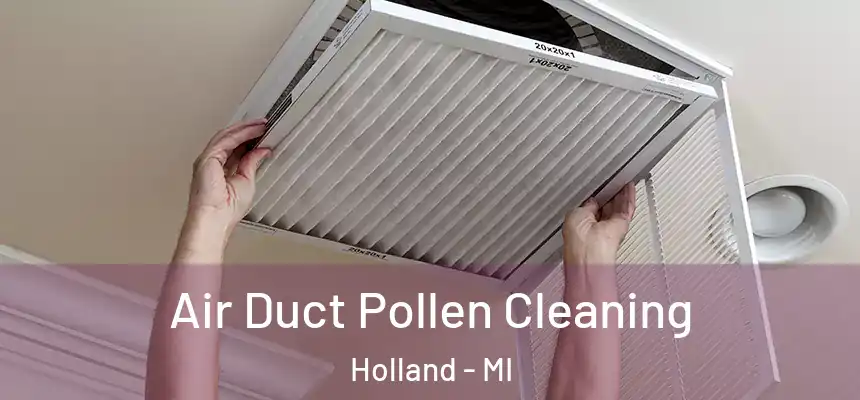 Air Duct Pollen Cleaning Holland - MI