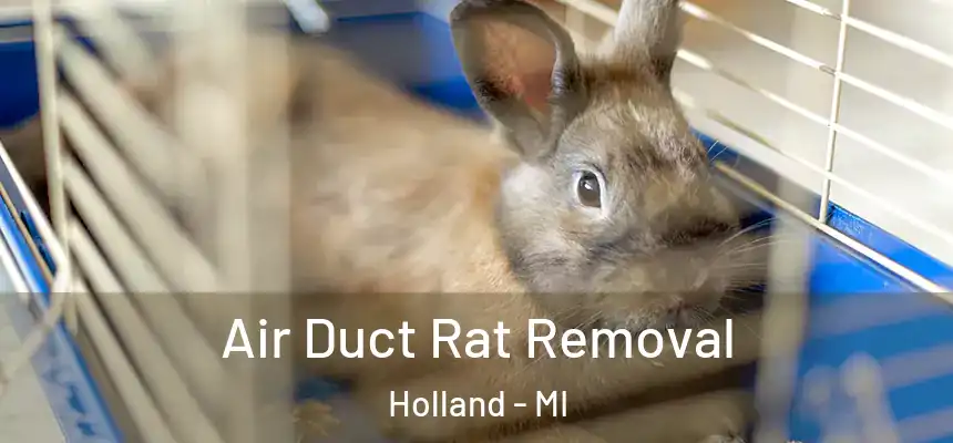 Air Duct Rat Removal Holland - MI