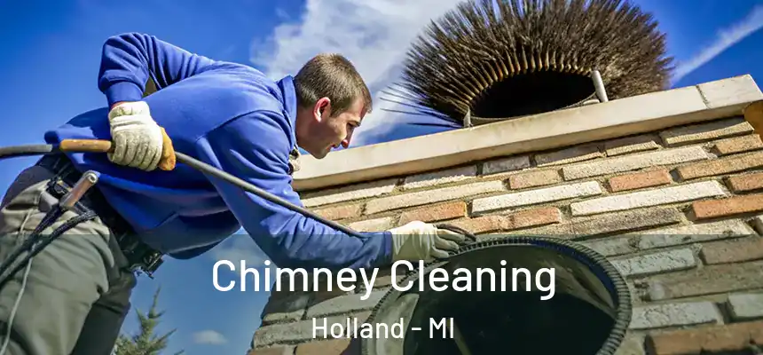 Chimney Cleaning Holland - MI