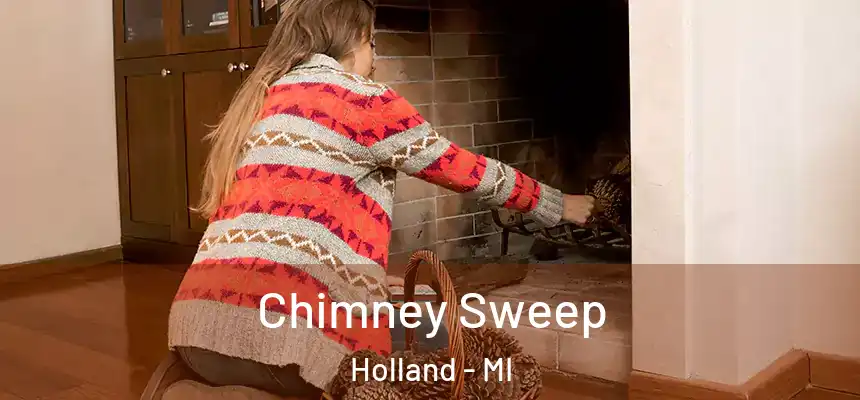 Chimney Sweep Holland - MI