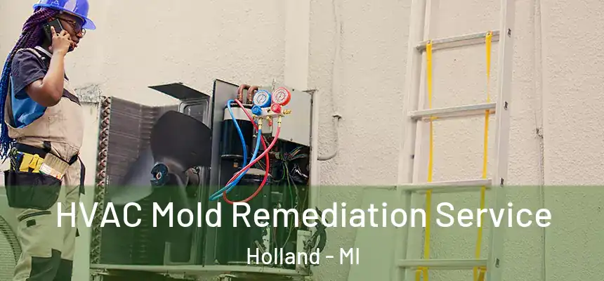 HVAC Mold Remediation Service Holland - MI