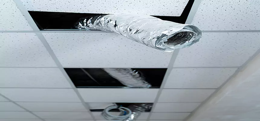 Affordable HVAC Sanitizing After Pest Removal in Holland