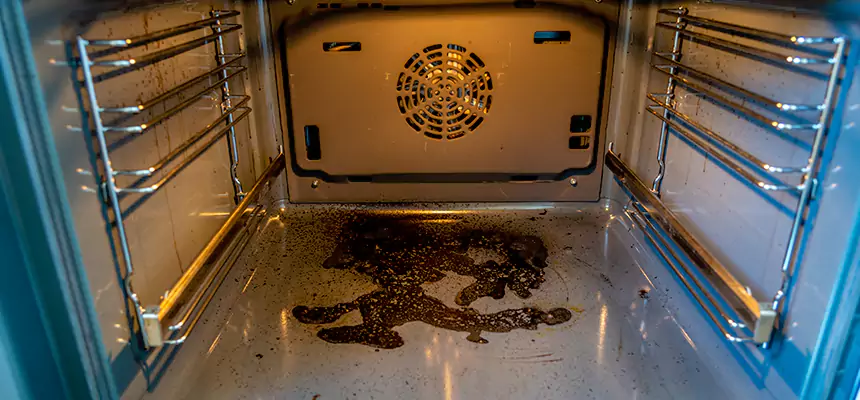 Our Dryer Vent Mold Cleaning Services in Holland, MI