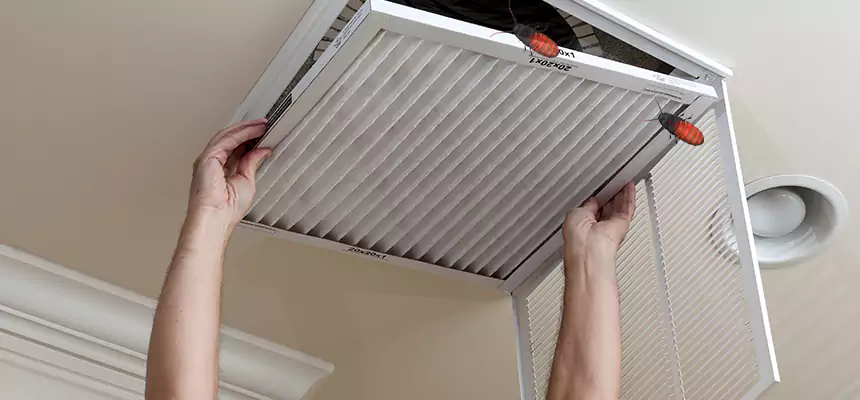 Our Insect Removal from Air Ducts Services in Holland, MI