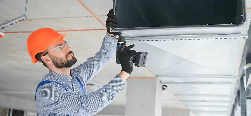 Roof Cap & Exterior Hood Lint Buildup Removal – Holland