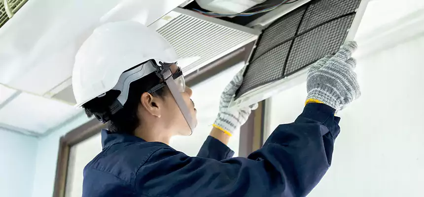 Our Mold & Mildew Removal from Air Ducts Services in Holland, MI