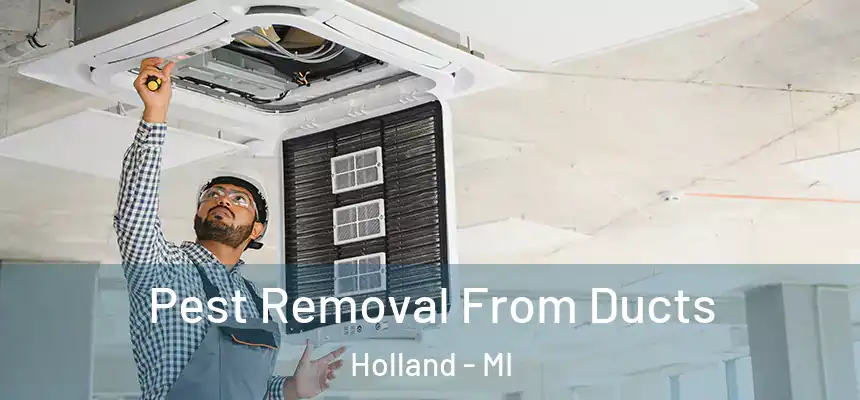  Pest Removal From Ducts Holland - MI