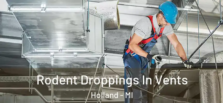 Rodent Droppings In Vents Holland - MI