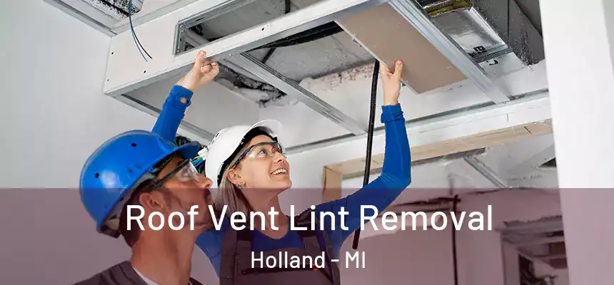 Roof Vent Lint Removal Holland - MI