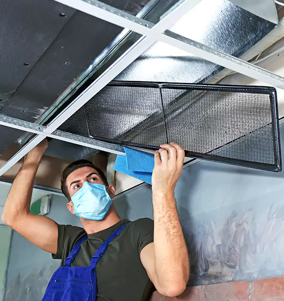 About Air Duct Bacteria Removal in Holland