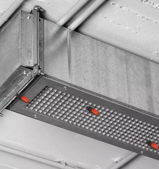 About Air Duct Cockroach Removal in Holland, MI