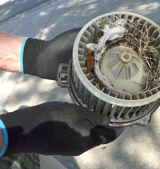 About Air Duct Mice Removal in Holland, MI