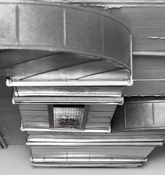 Professional Air Duct Pest Removal in Holland, MI