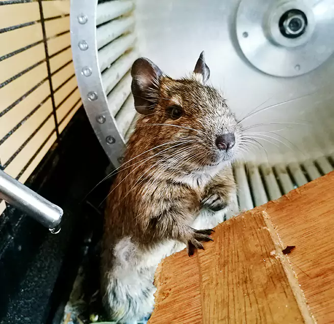 Why Homeowners & Businesses Trust Us Holland, MI