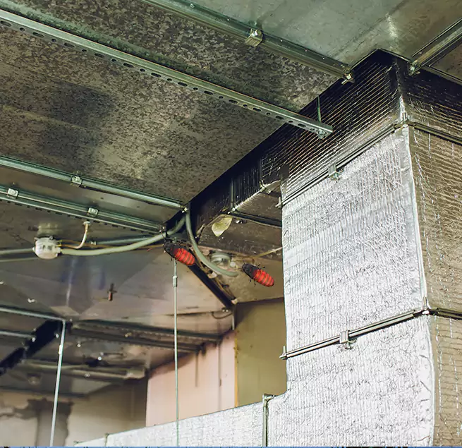 Why Homeowners & Businesses Trust Us Holland, MI?