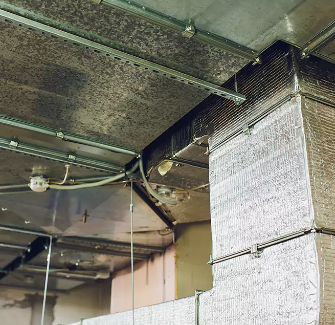 Why Homeowners & Businesses Trust Us in Holland, MI?